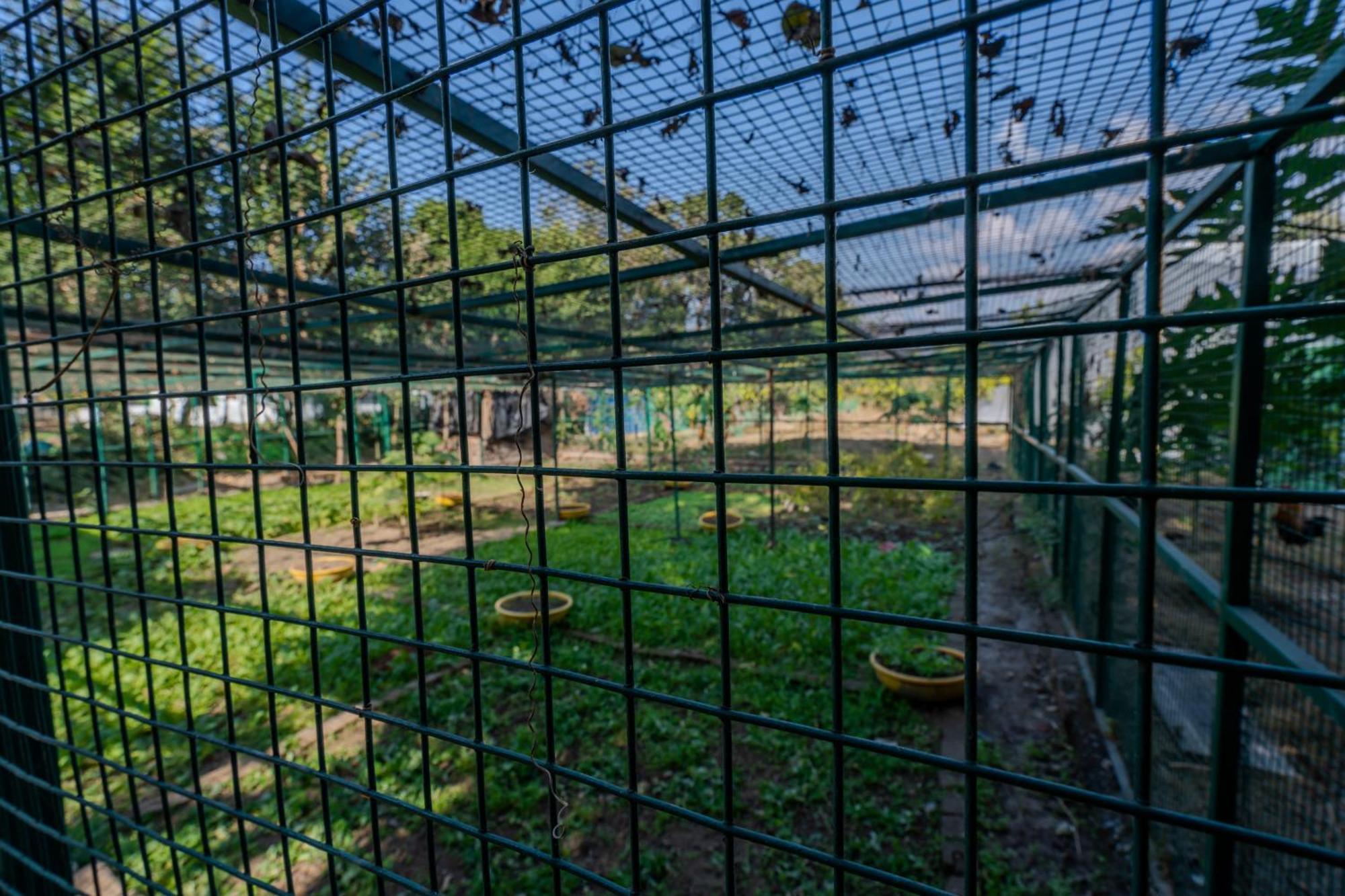 Saffronstays Timber Crest Ντεχραντούν Εξωτερικό φωτογραφία